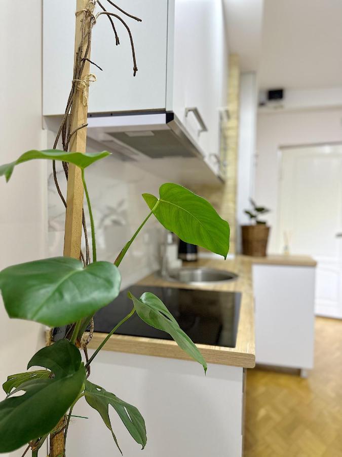 Apartment Батуми Экстерьер фото